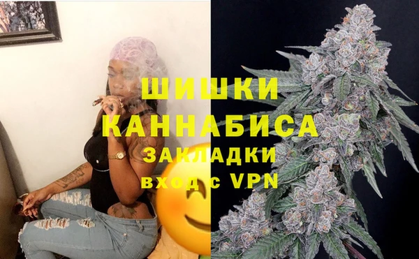 ПСИЛОЦИБИНОВЫЕ ГРИБЫ Лагань