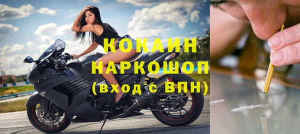 скорость Болотное