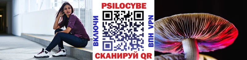 блэк спрут   Нелидово  Галлюциногенные грибы MAGIC MUSHROOMS 